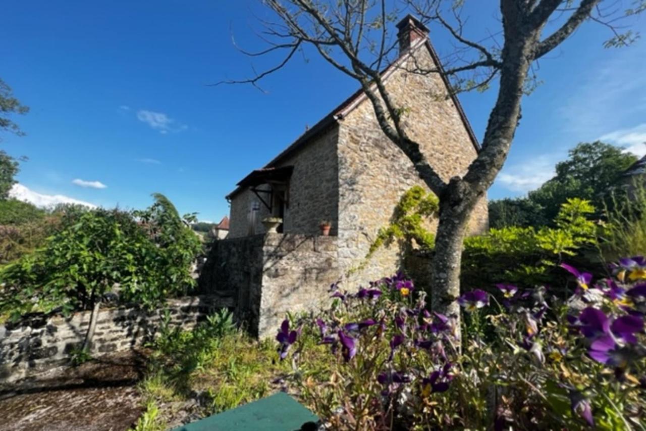 L'Oustal De L'Olivier Villa Rignac  Exteriör bild